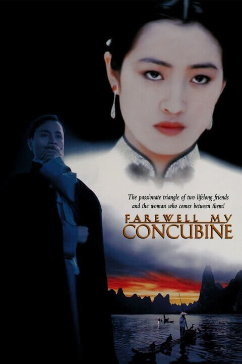 霸王别姬 / Farewell My Concubine 1993电影封面图/海报