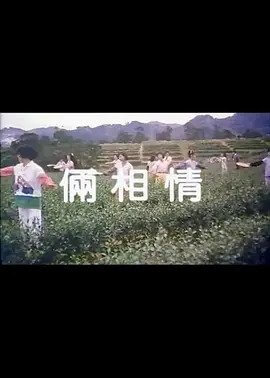 茶山春色_瞓上你的床 / Liang Xiang Qing 1987电影封面图/海报